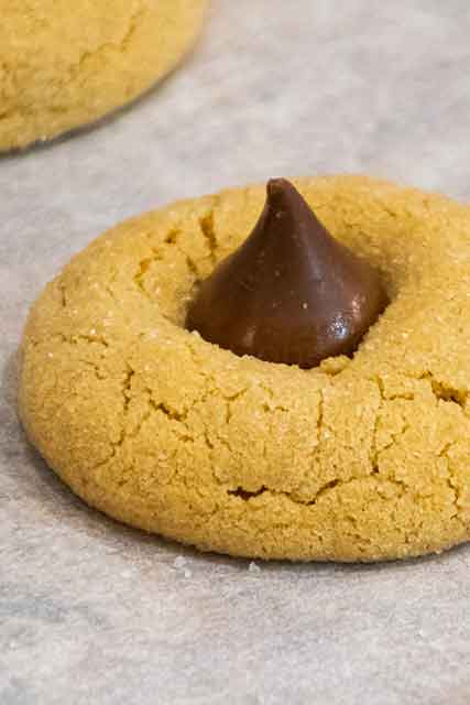 up close image of peanut blossoms cookie