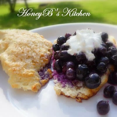 Gingered Blueberry Shortcake on a white plate.