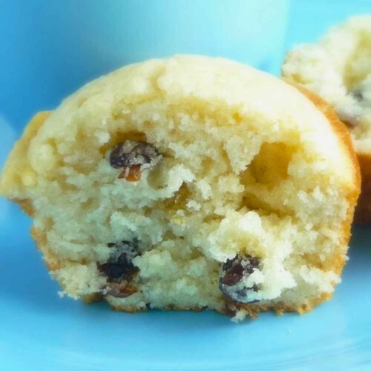 Close up of a halved rum raisin muffin showing it's soft, fluffy texture and scattered raisins on a blue plate.
