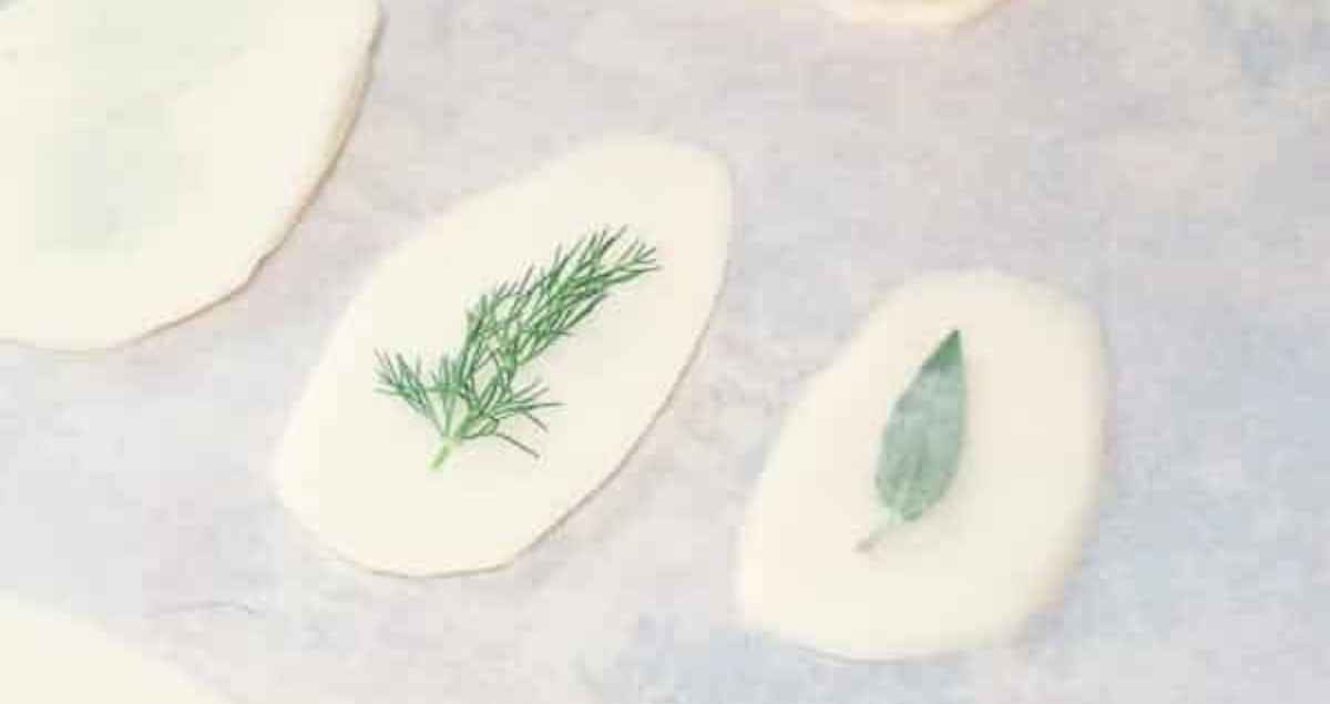 Raw window pane potato chips parchment, with herb in the center.
