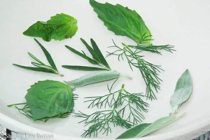 an assortment of fresh herbs on a paper towel