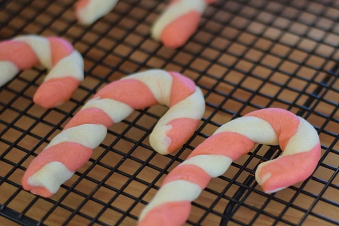 Candy Cane Cookies