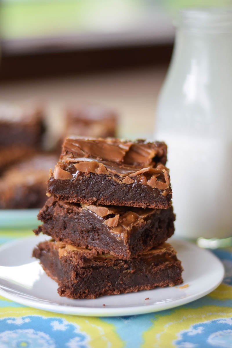 Cookie Butter Caramel Swirled Brownies