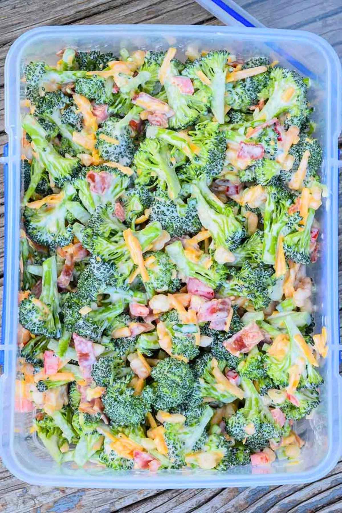 Overhead view of salad in clear storage container.