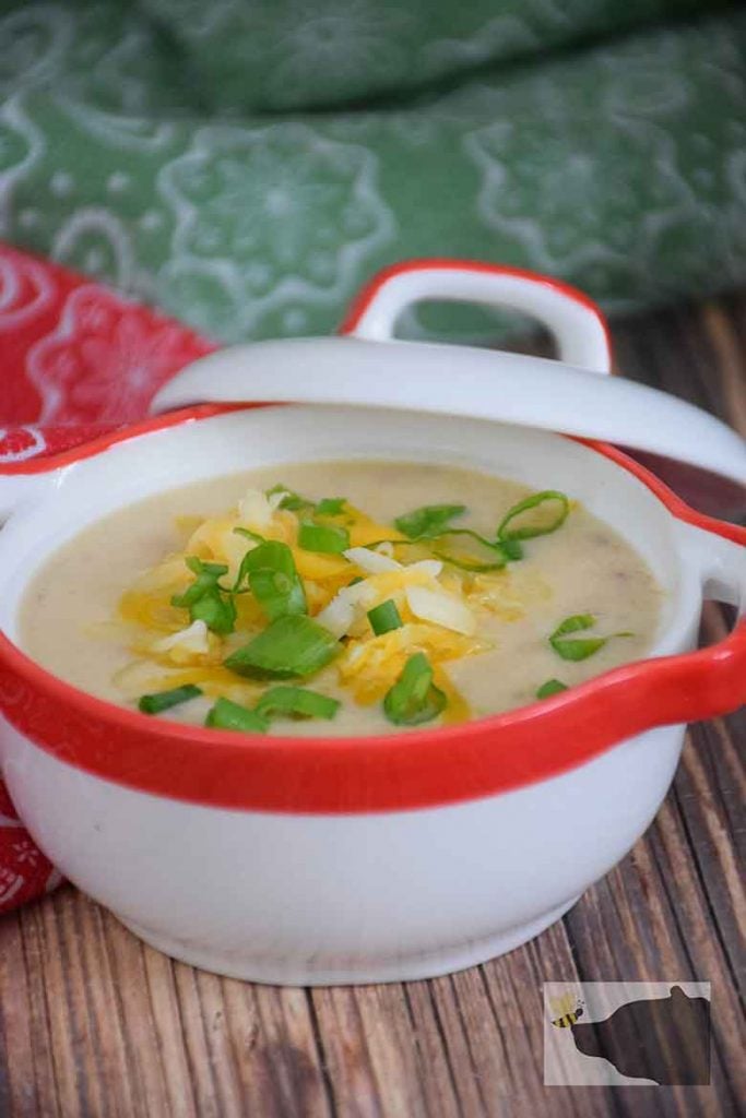 Cheesy Cauliflower Soup with ham  in white soup bowl with red trim with cheese and green onion tops sprinkled on top