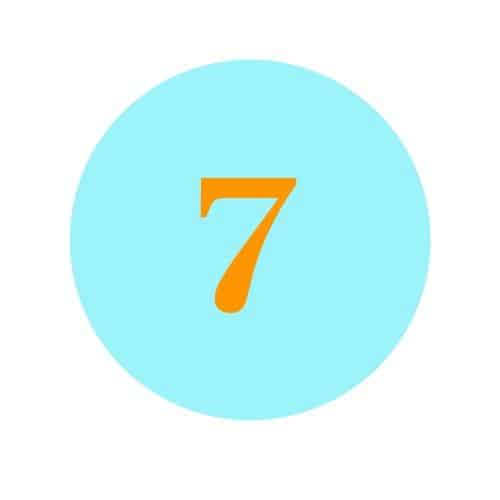 the number 7