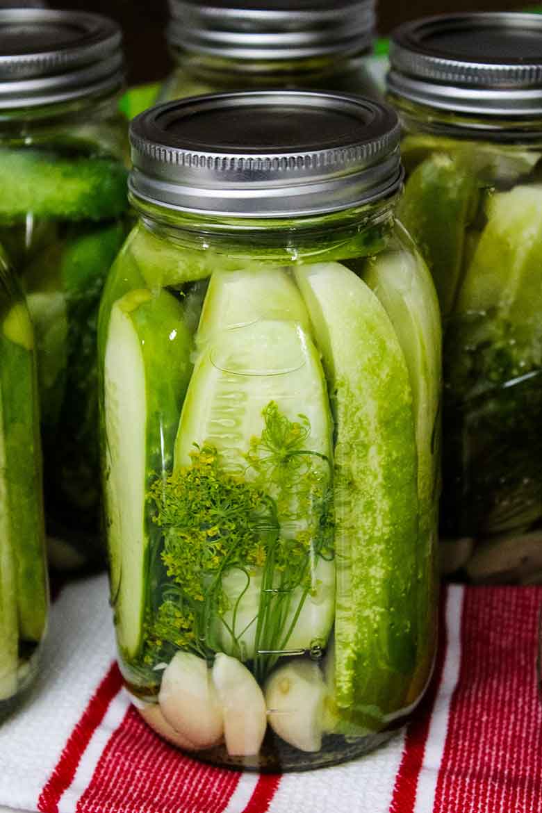 Garlic Dill Pickle Recipe in quart jars on a red and white towel.