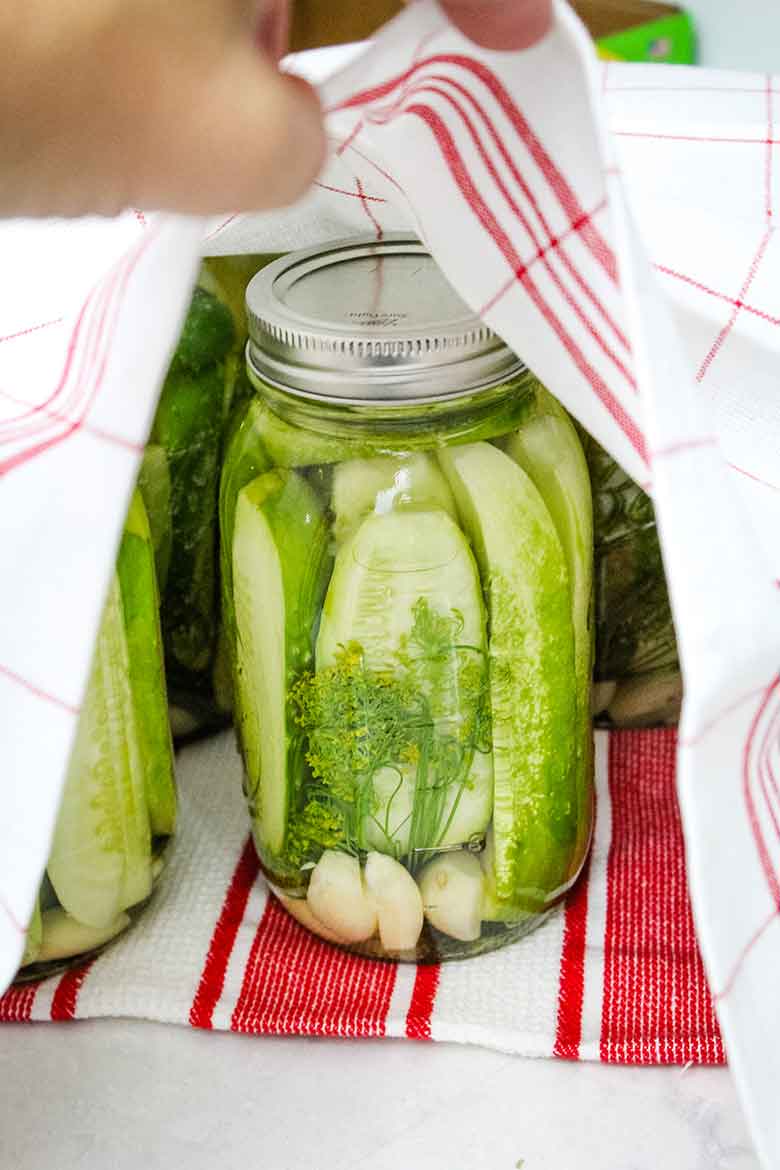 Garlic Dill Pickles in canning jars covered with a red and white towel.