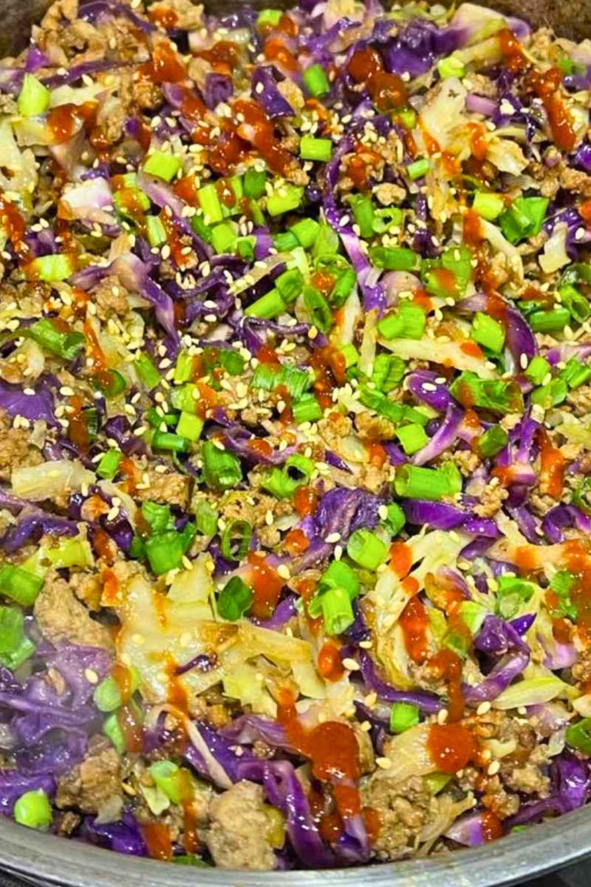 Upclose image of venison eggroll in a bowl with bright green and purple cabbage drizzled with sriracha sauce.