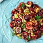 Upclose image of a farro salad tossed with fresh halved cherries, celery, walnuts, and parsley on a blue seashell plate.
