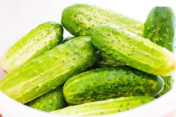 Bowl of fresh pickling cucumbers with bright green, bumpy skins, ready to be sliced for canning.