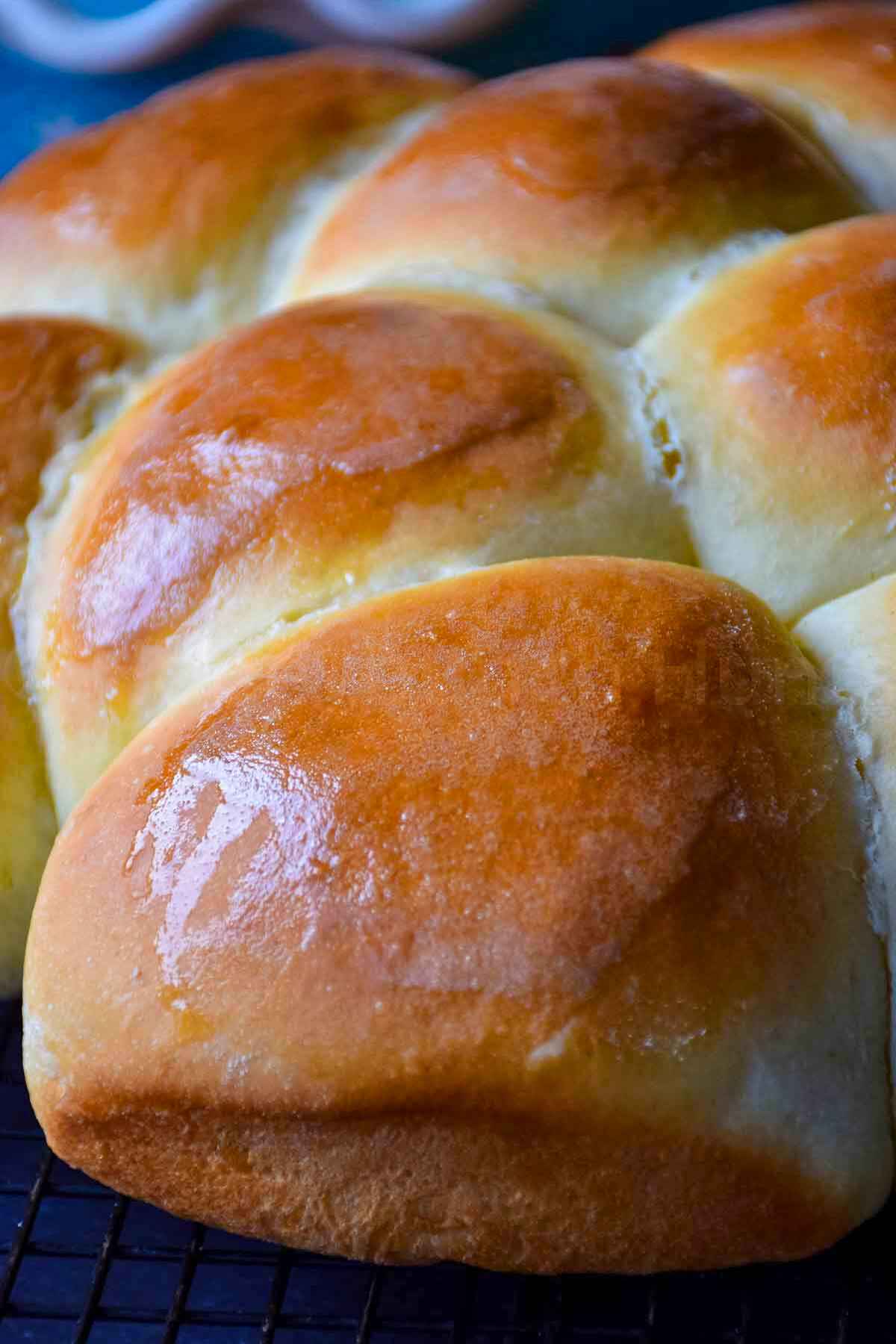 Extreme close up of warm, glossy dinner rolls with a perfectly golden top and pillowy soft texture, fresh from the oven.