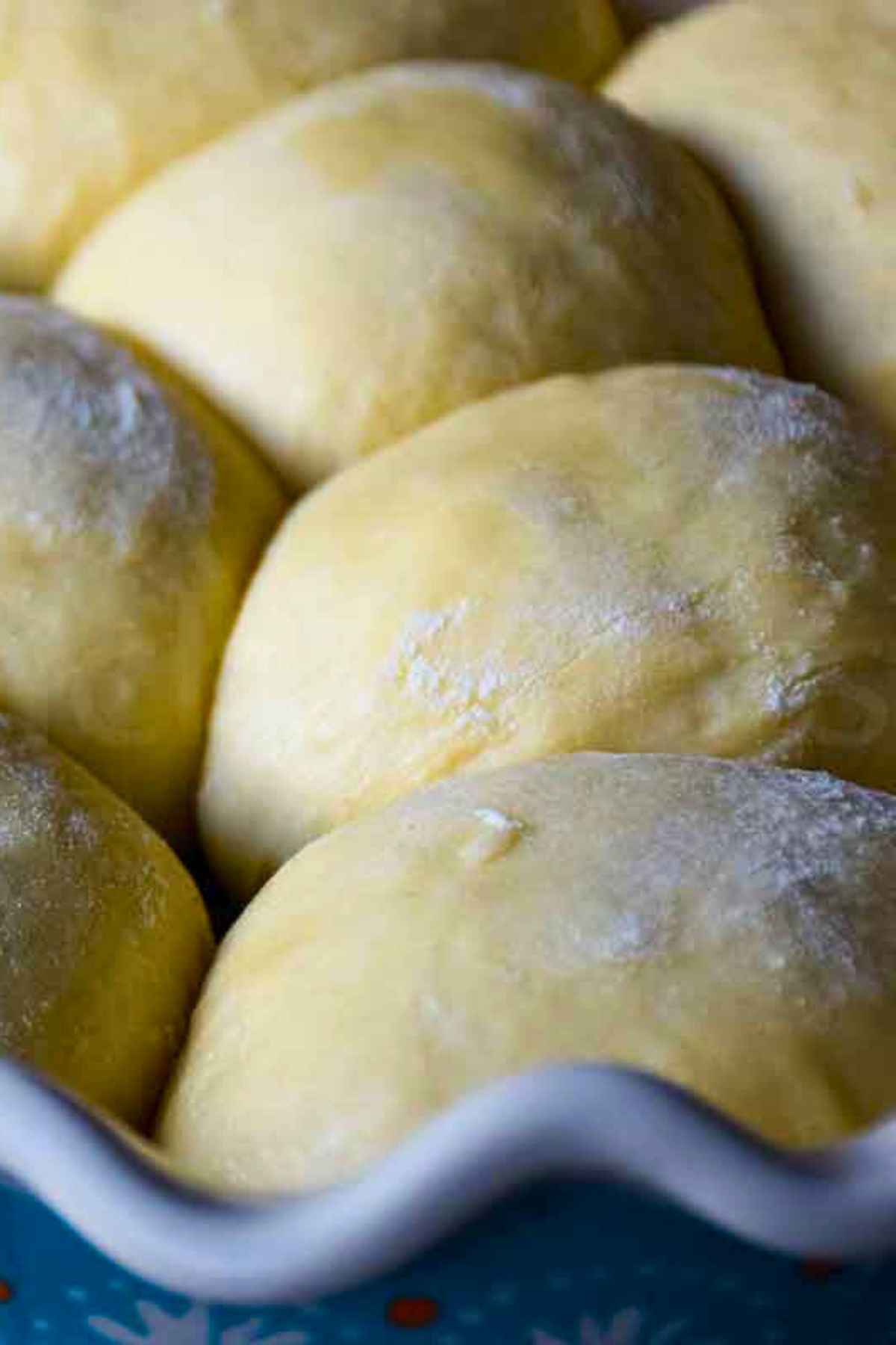 Unbaked quick dinner roll dough balls after their final rise, arranged closely in a scalloped pan and lightly dusted with flour.