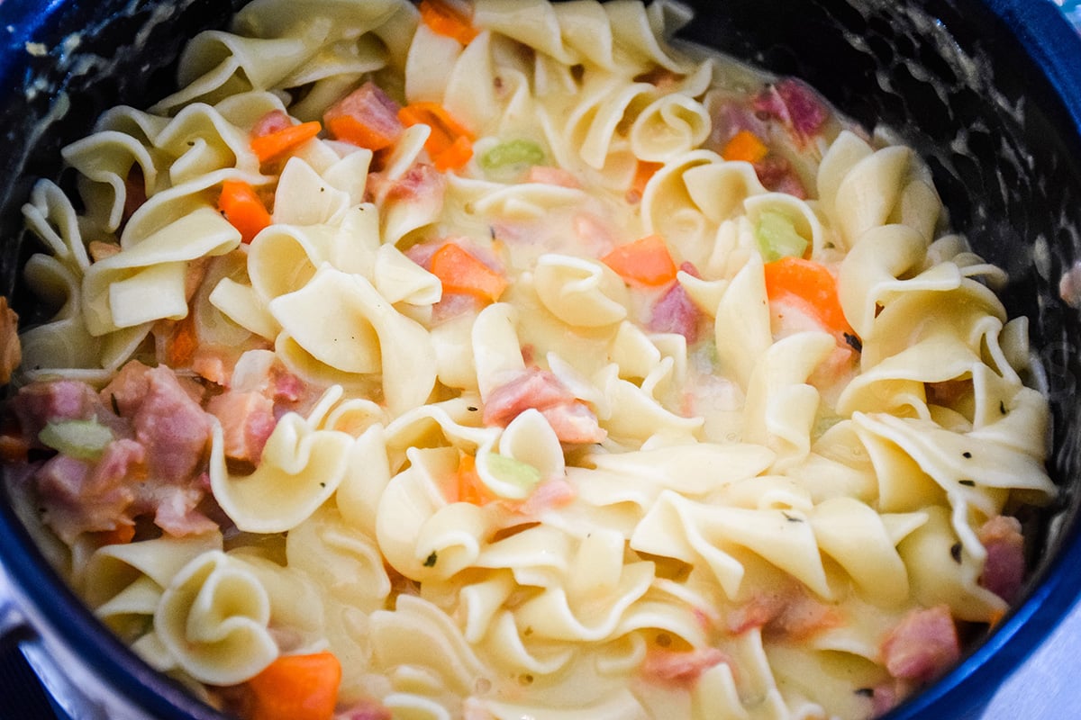 A pot of creamy ham and noodle mixture with wide egg noodles, diced ham, sliced carrots, and celery in a thick sauce, just before baking.