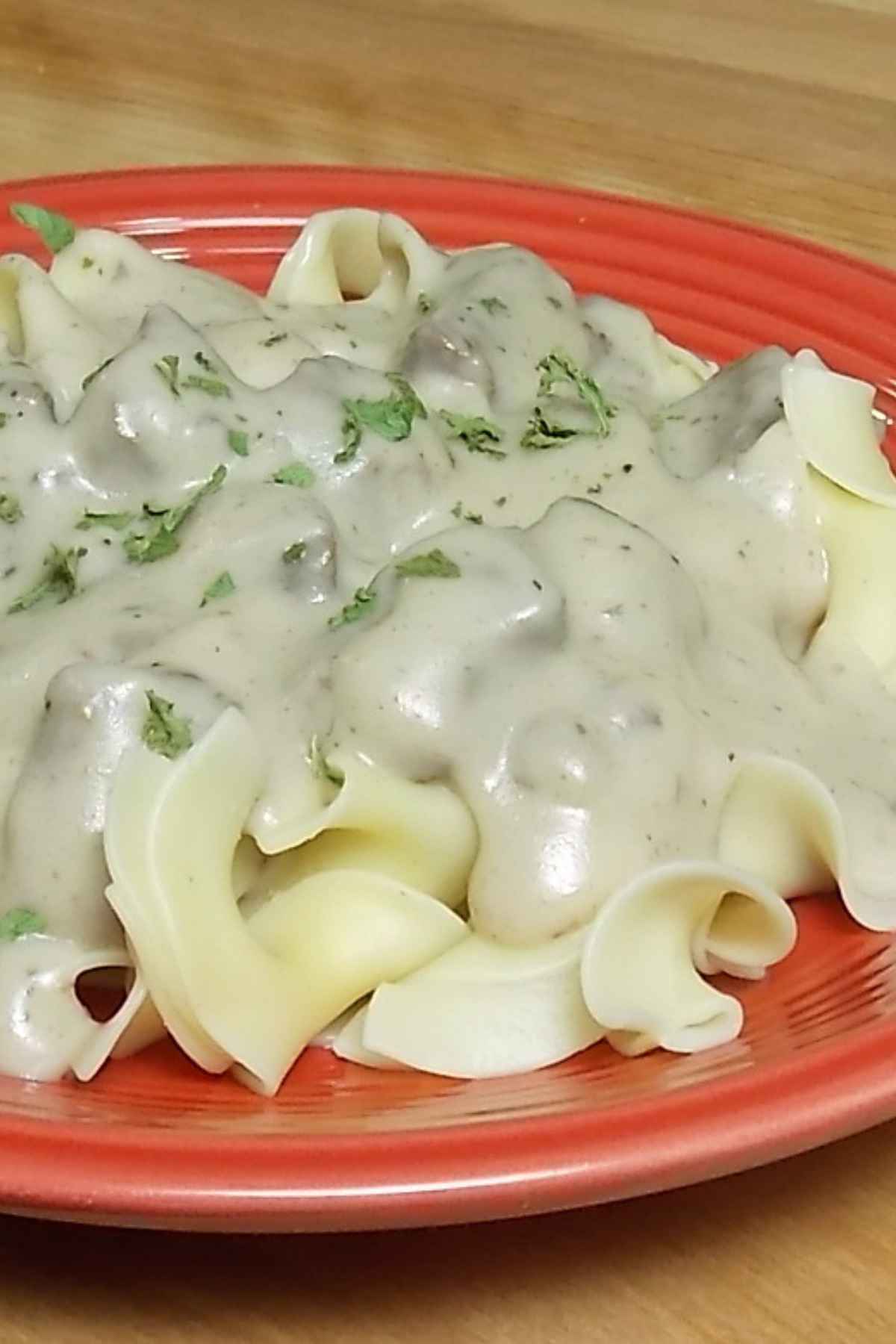 Wide egg noodles topped with a venison and mushroom gravy sprinkled with parsley served on a red plate.