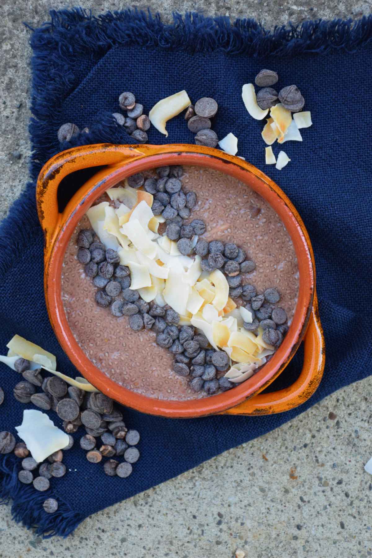 Overhead view of chocolate chia pudding garnished with chocolate chips and coconut flakes.