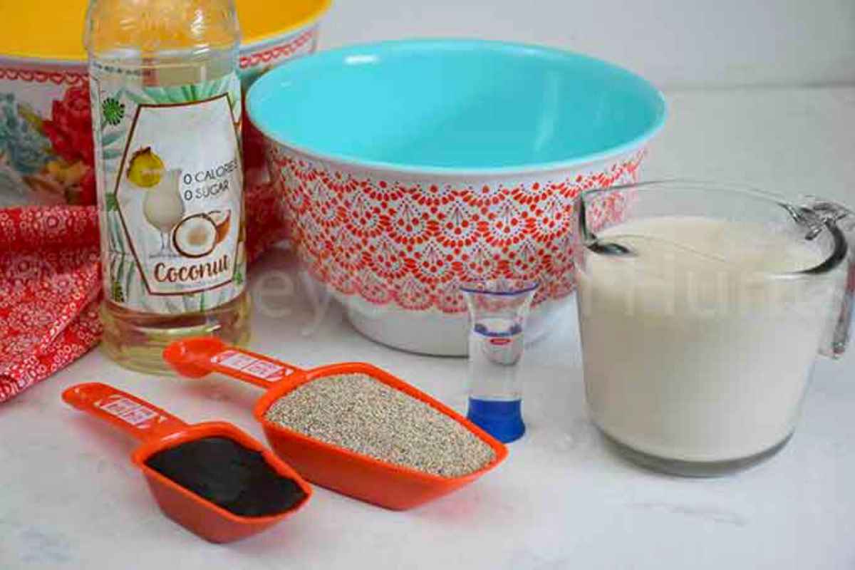 Pudding ingredients including chia seeds, cocoa powder, coconut syrp, vanlla, and milk.