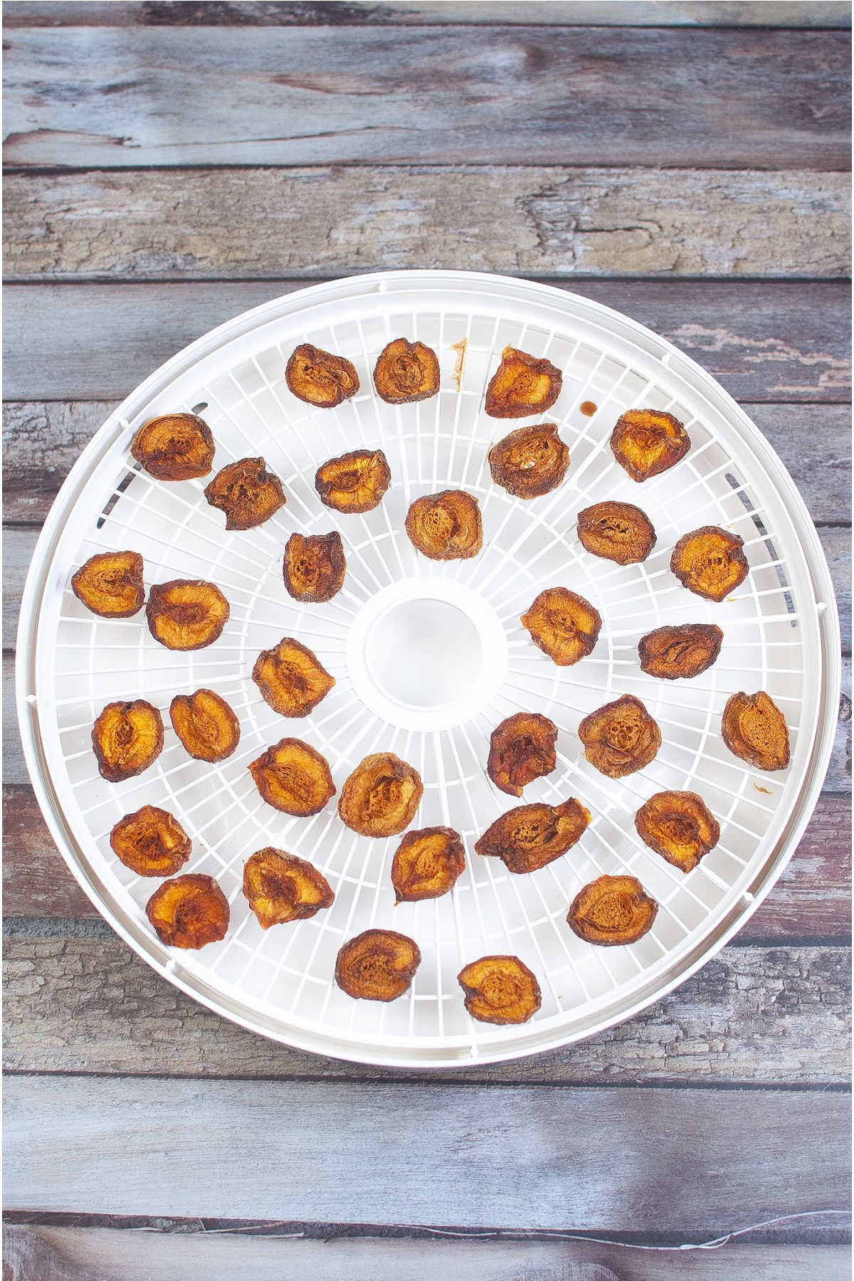 Dried apricots on dehydrator tray.