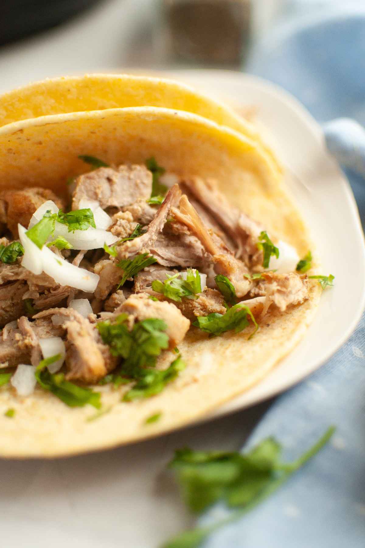 Extreme close up of carnitas in a corn tortilla with chopped onions and cilantro garnish.