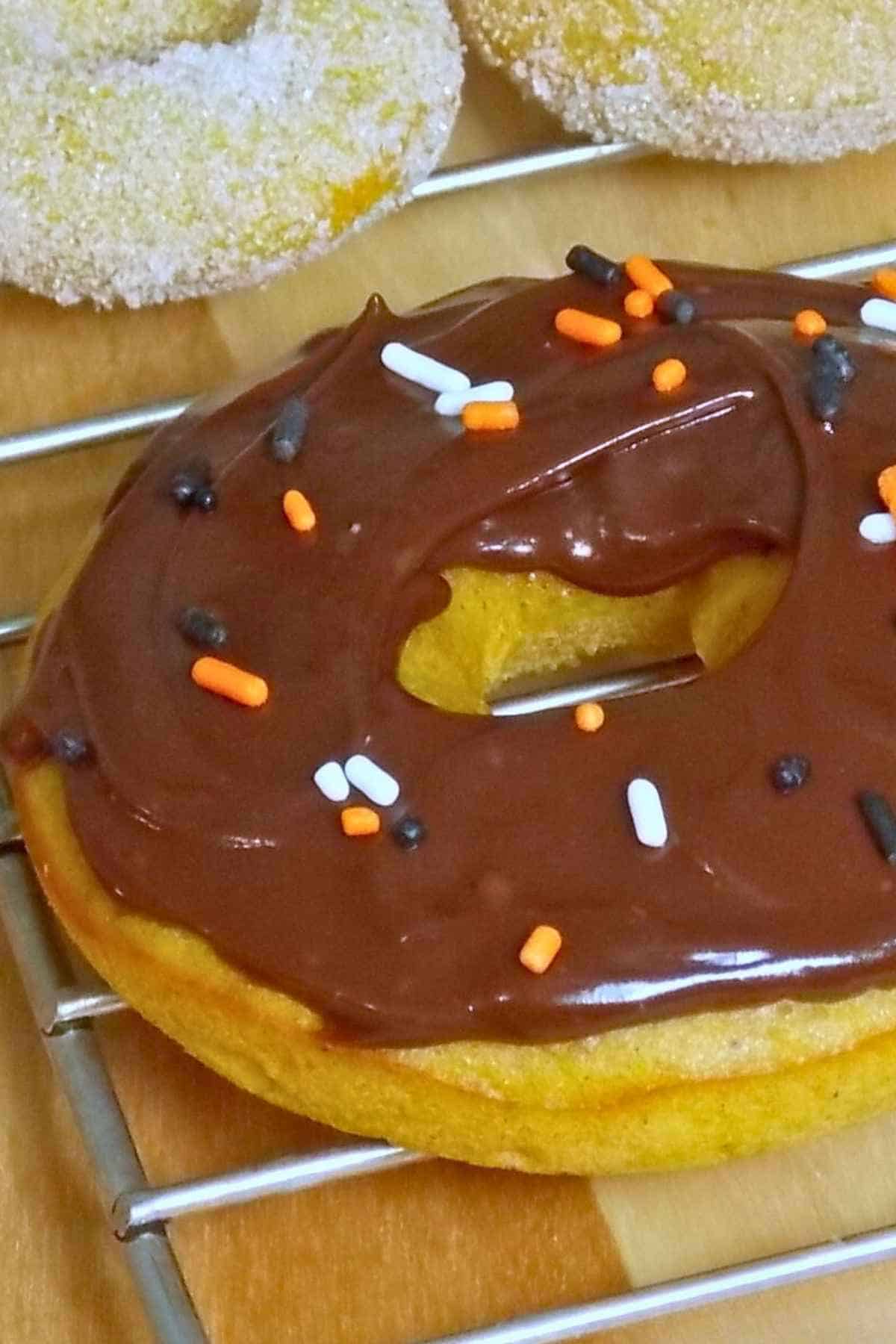 A chocolate frosted pumpkin spice donut decorated with a few black, white and orange sprinkles.