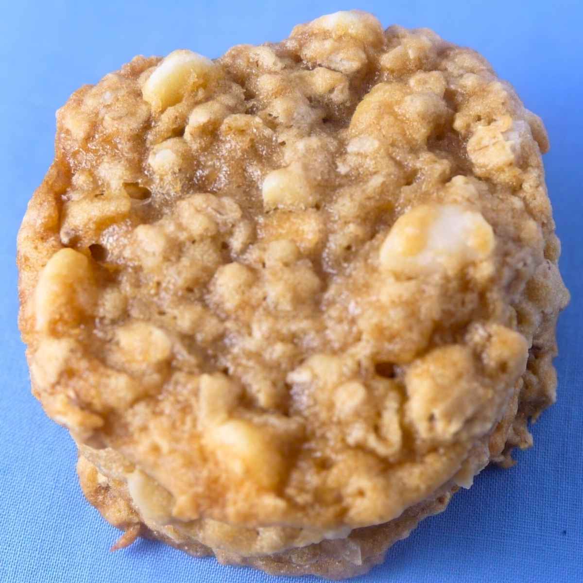 Overhead image of a chewy oatmeal cookie.