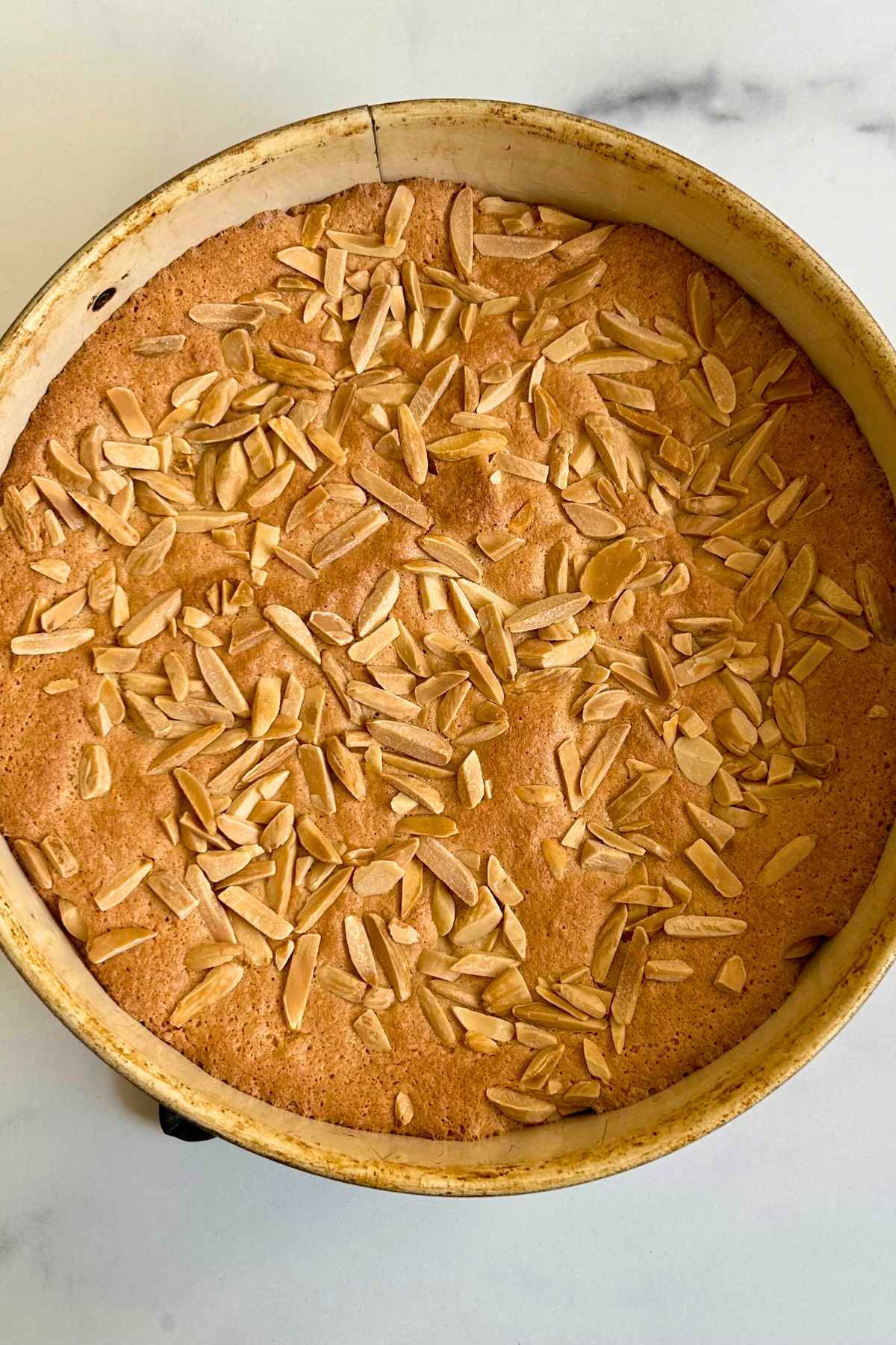 Freshly baked gluten-free cake topped with crunchy toasted almond slivers in a springform pan.