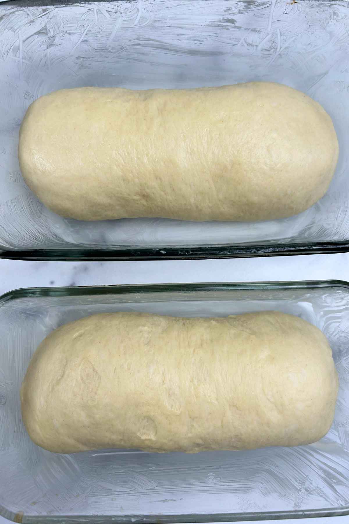 Two smooth , rectangular loves of dough placed inside greased glass loaf pans, ready for the final rise.