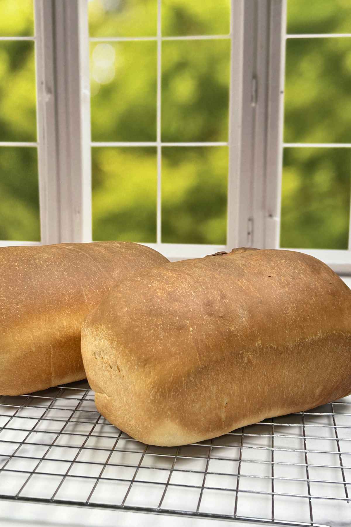 Two golden brown loaves of homemade buttermilk bread cooling on a wire rack in front of a bright window.