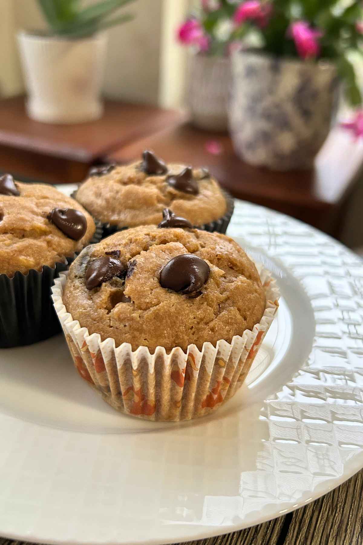 A close-up of high-protein peanut butter banana chocolate chips muffins in paper liners, topped with melted semi sweet chocolate chips on a white plate.