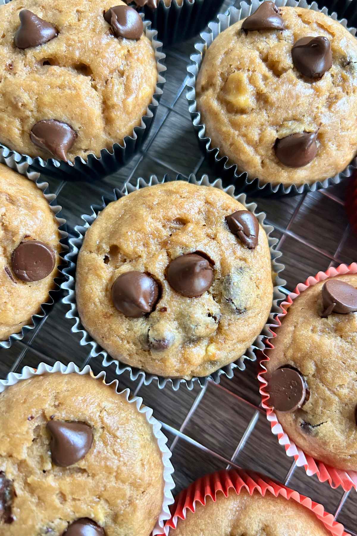 An overhead view of high protein muffins topped with chocolate chips on a wire rack.