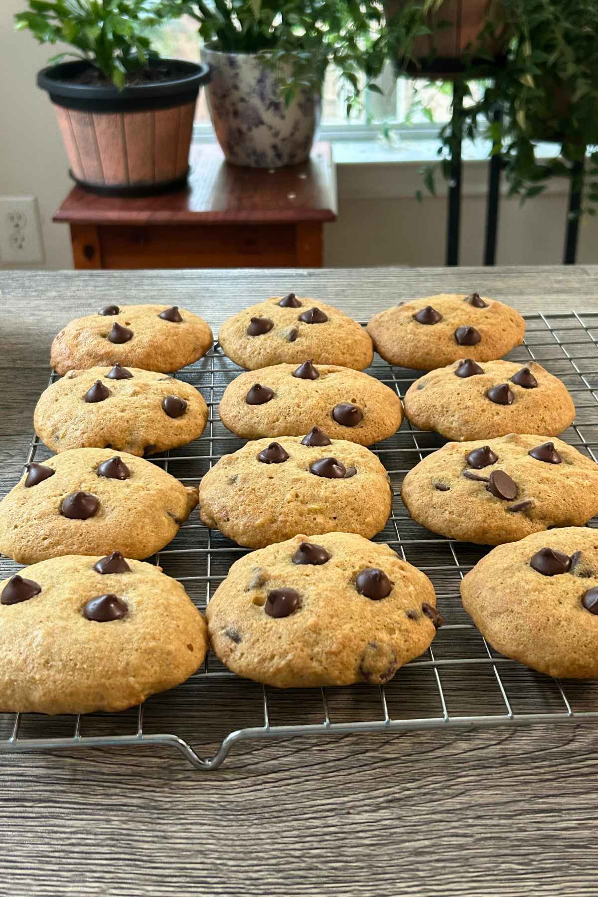 Freshly baked round banana chocolate chip cookies cooling on a wire rack on a wooden countertop.