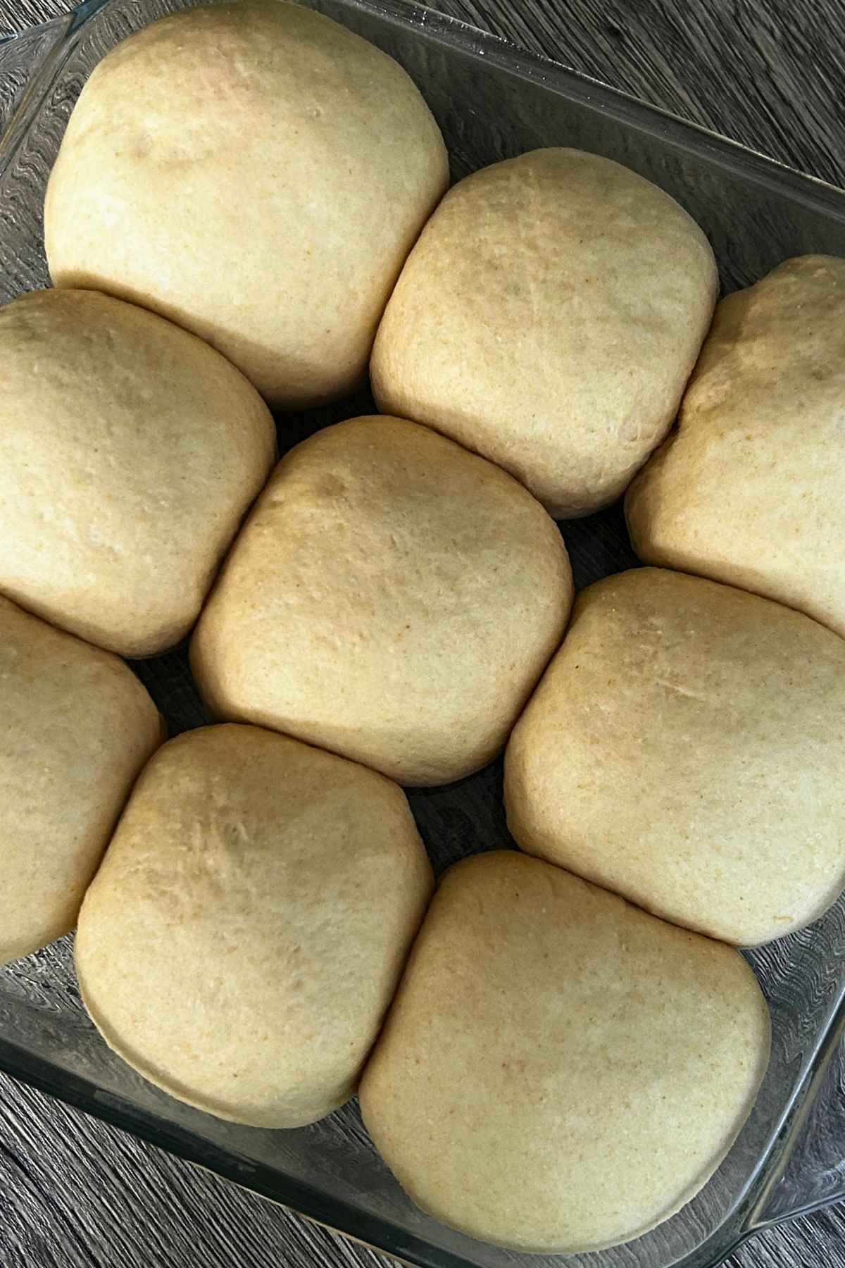 Unbaked dough rolls arranged in a glass baking dish, risen and ready to bake.